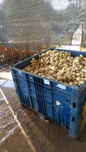 الضابطة الجمركية تكشف عملية غش تجاري في جنين